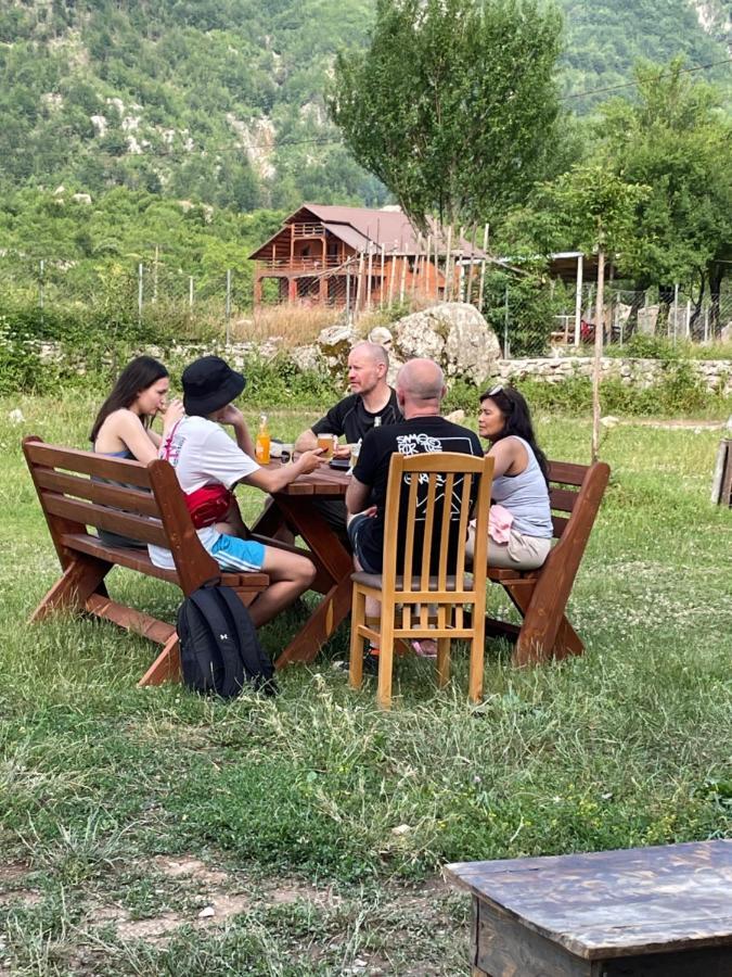 Petriti